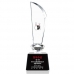 작은이미지: KC357 모던오피스 블랙& 화이트 크리스탈 트로피 2 #2