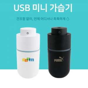 휴대용 LED무드등, USB 미니 가습기, gi005