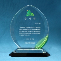 [상패] 새싹 투톤상패 hs-06