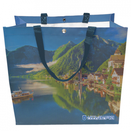 박스형 타포린가방(小)ㅡ풀컬러 인쇄 주문 제작 #2