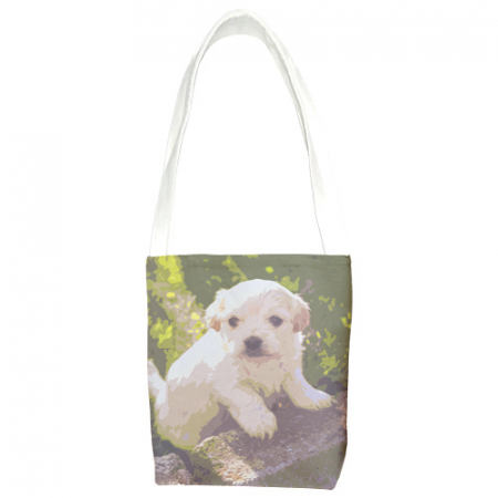 에코백 (소형) 주문제작 전면 컬러 인쇄 20*22cm #3