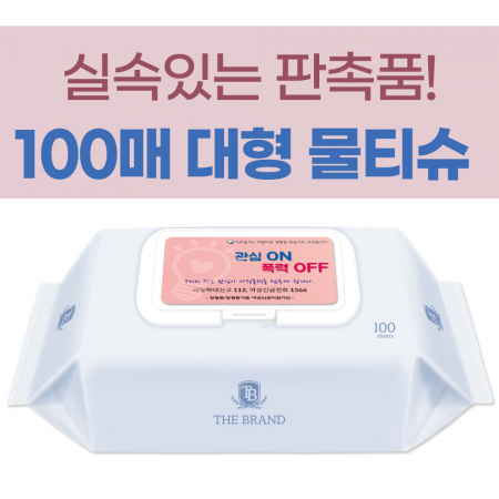 더브랜드 프리미엄 100매 물티슈 #2