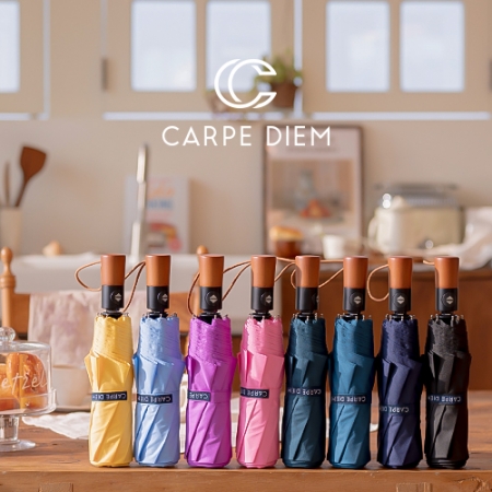 카르페디엠 3HHC042 3단 완전자동 우산 #2