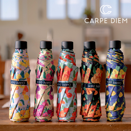 카르페디엠 3HHC037 3단 수동 양우산 #2