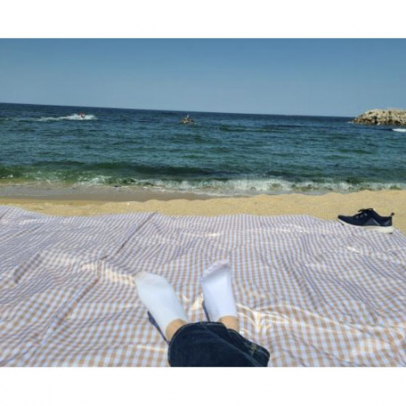 밀리어스 양면 방수 감성 체크 무늬 돗자리 피크닉 매트 팩 고정형 250 x 250 #4