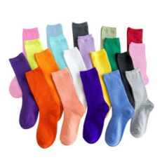 파스텔 비비드 크레용 골지양말 여성양말 20컬러