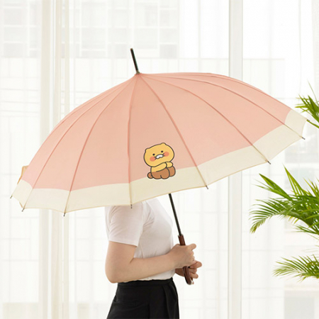 캐릭터 16K 장우산 #4