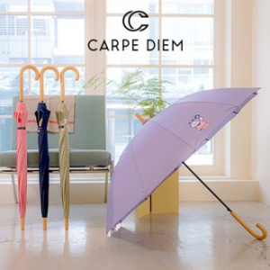 카르페디엠 3HHC044 장우산 60*12K