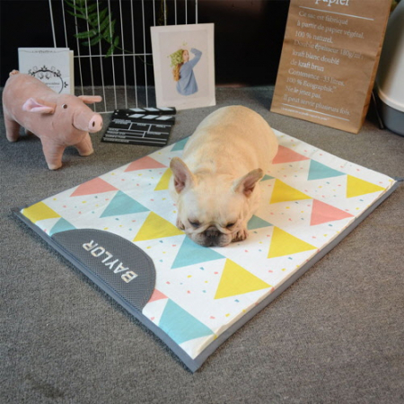 CG348 에코라이프 컬러풀 무더위 냉각 패드 애완 쿨매트 (60*43) #2