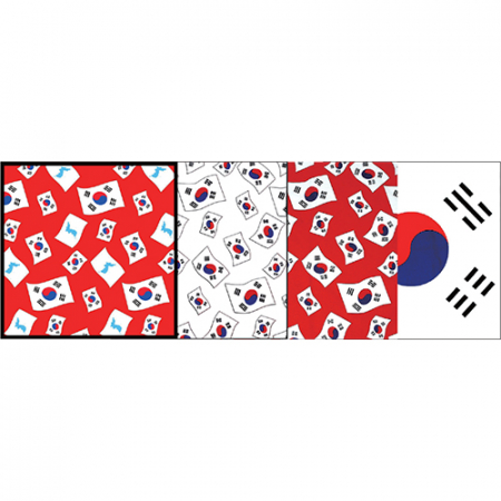 태극기휘날리며 스카프 #2