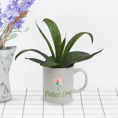 고급 세라믹 손잡이 화분 #2