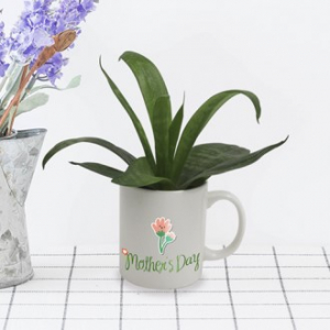 고급 세라믹 손잡이 화분