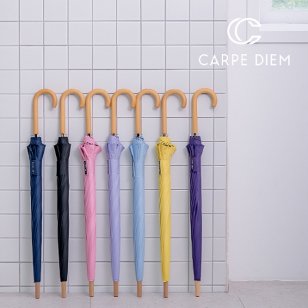 카르페디엠 3HHC046 암막 장우산 60*12K #2