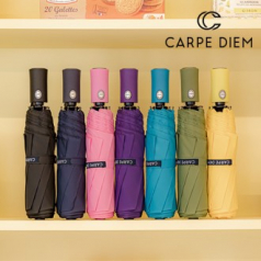 카르페디엠 3HHS024 3단 완전 자동우산