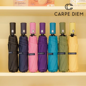 카르페디엠 3HHS024 3단 완전 자동우산