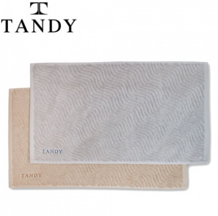 탠디 뉴웨이브 호텔 발매트 40x71CM #2