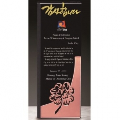 크리스탈 상패 201