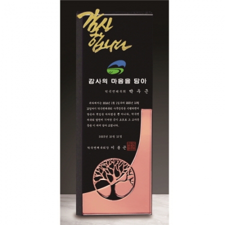 크리스탈 상패 199 #6