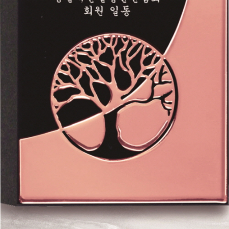 크리스탈 상패 194 #5