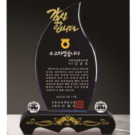 금문양 크리스탈 상패33 #6