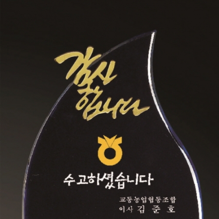 금문양 크리스탈 상패33 #3