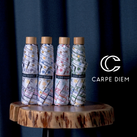 카르페디엠 3HHC053 3단 수동 양우산 #2