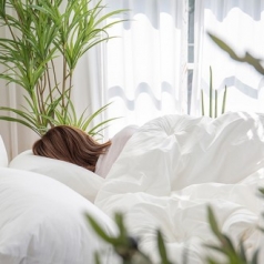 알러지케어 60수 고밀도 차렵이불세트, 먼지없는 고밀도 사계절 이불세트