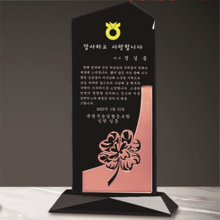 크리스탈 상패 216 #2