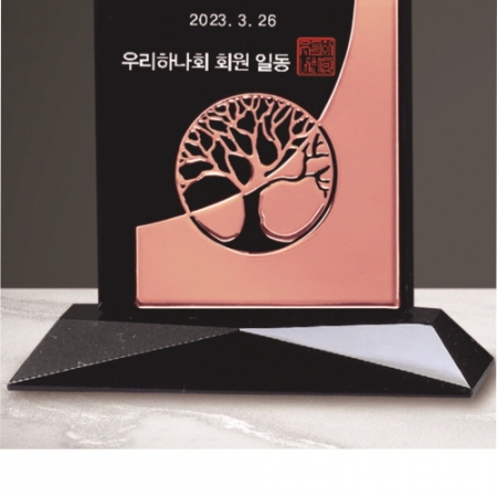 크리스탈 상패 215 #5