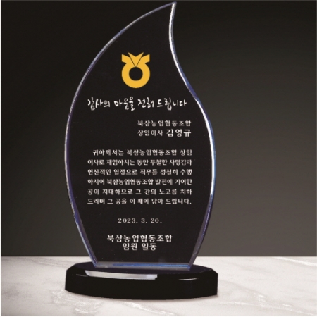 크리스탈 상패 255 #6