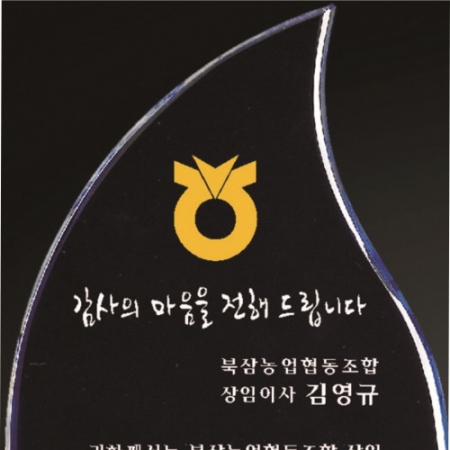 크리스탈 상패 255 #3