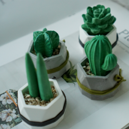 가든 샤쉐 선인장 석고 방향제, 미니 석고 테라리움 #2
