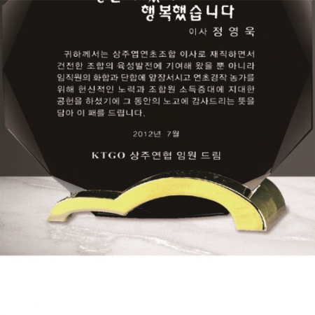 크리스탈 상패 307 #4