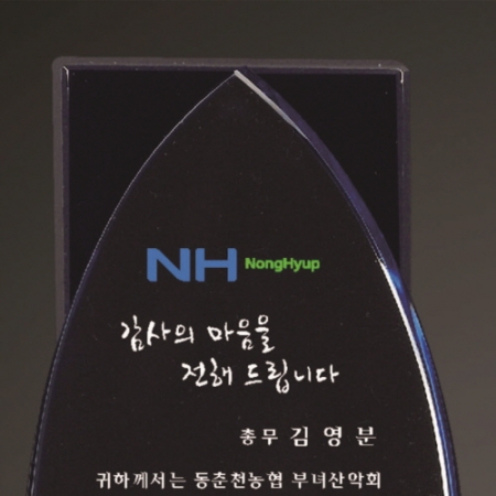 크리스탈 상패 301 #3