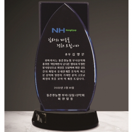 크리스탈 상패 301 #2