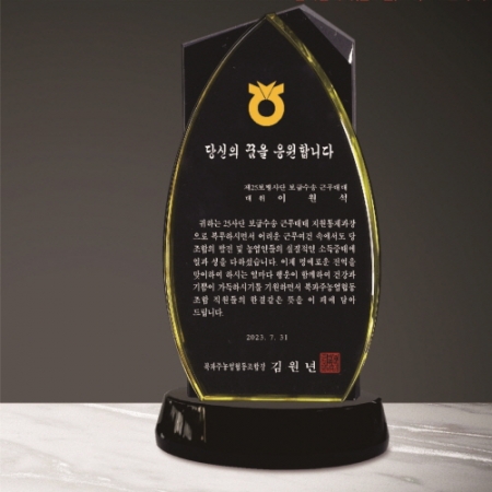 크리스탈 상패 300 #2