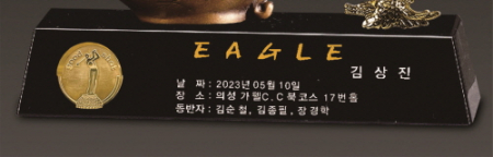 명품 청동 이글 남성 골프트로피 20 #5
