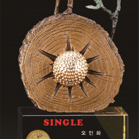 명품 청동 남성 골프트로피 19 #4