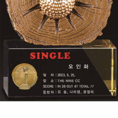 명품 청동 남성 골프트로피 19 #5