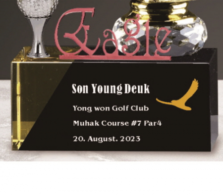 금속크리스탈 남성 골프 트로피 231 #5