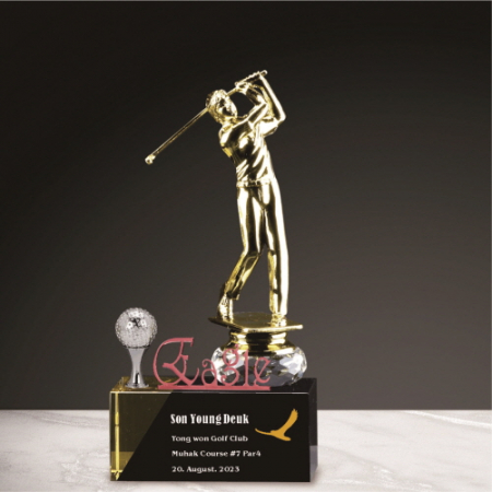 금속크리스탈 남성 골프 트로피 231 #2