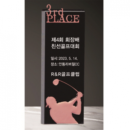 크리스탈 트로피 227 #6