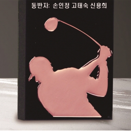 크리스탈 트로피 221 #5