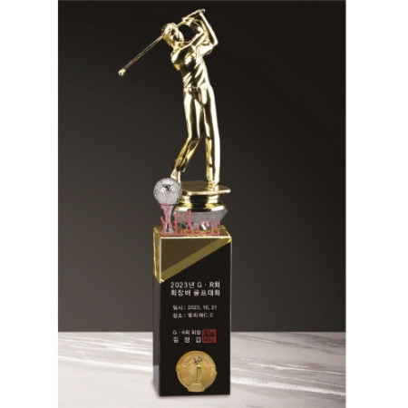 금속크리스탈 남성 골프 트로피 209 #2