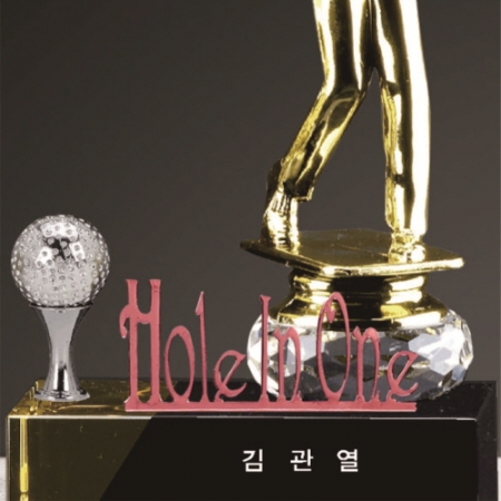 크리스탈 홀인원 남성 골프트로피 201 #4