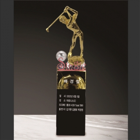 금속크리스탈 싱글 남성 골프트로피 200 #6