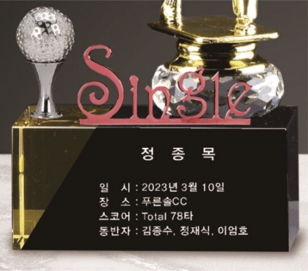 금속크리스탈 싱글 남성 골프트로피 199 #5