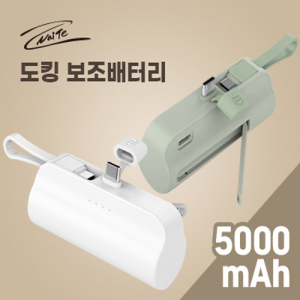 나이테 ST-AB100 도킹형 보조배터리 5000mAh C타입