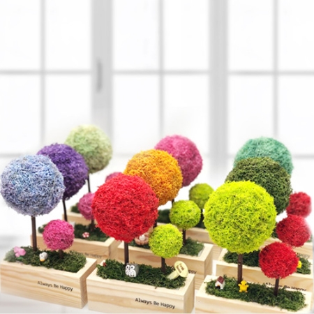 내츄럴 해피 스칸디아모스 우드 나무 #2