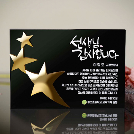 감사패 금속별모양 연말 행사 재직 퇴직 근속 감사패 art 281 #2